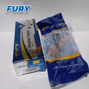FMTN ENGINE VALVE FURY