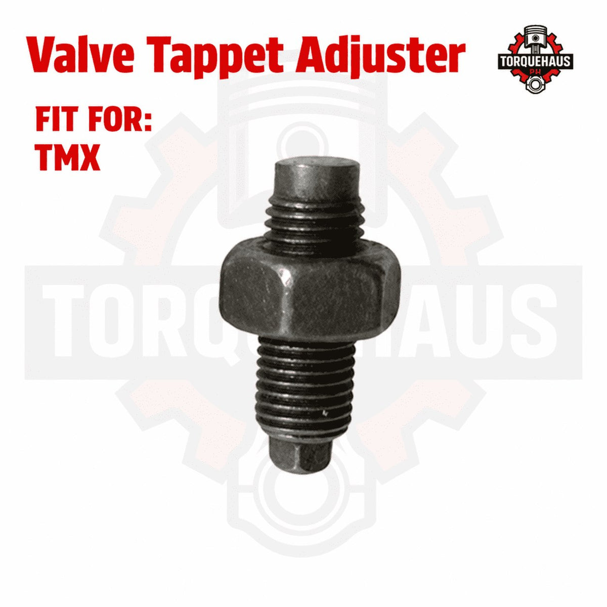 Engine Screw / Plug TMX