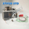 Cylinder Block STX125 STD